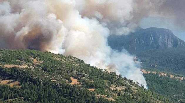 В провинции Мугла очередной лесной пожар: сгорело 50 домов