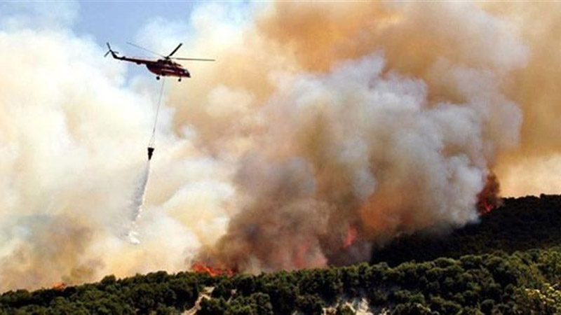 В турецком Мармарисе продолжается борьба с лесными пожарами