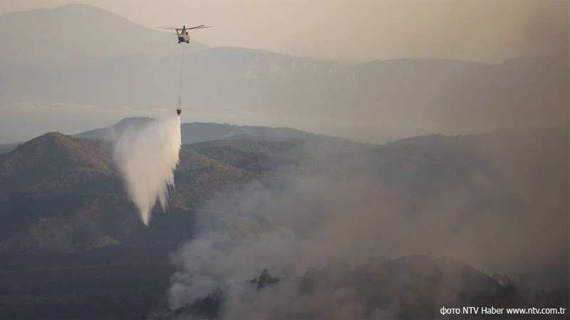 Природный пожар в провинции Чанаккале в Турции взят под контроль