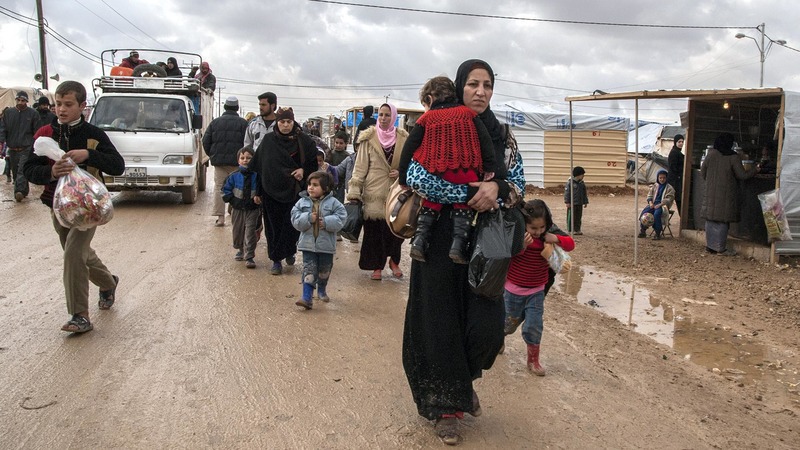 Глава Красного Полумесяца: Полмиллиона сирийцев устремились к районам, граничащим с Турцией