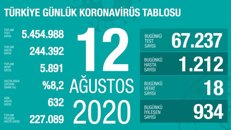 Количество новых инфицированных в Турции составило 1 тыс. 212
