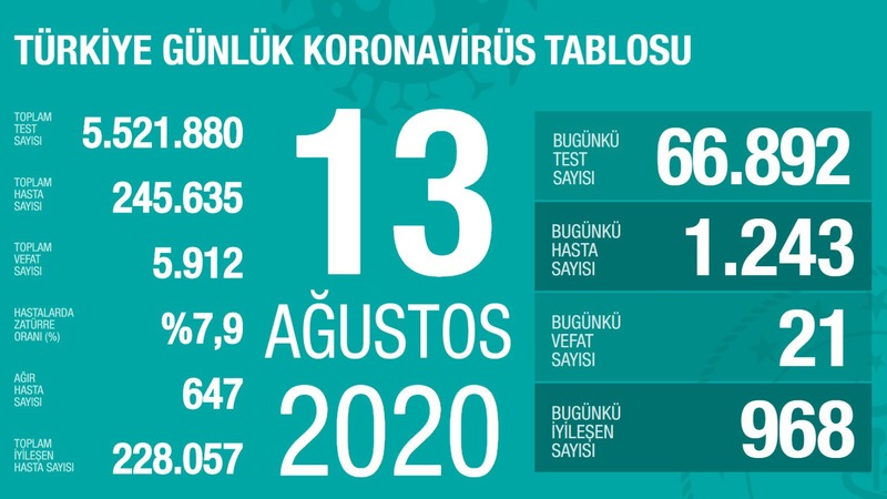 Количество новых инфицированных в Турции составило 1 тыс. 243