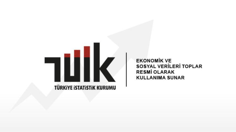 Главу Турецкого статистического института заменили