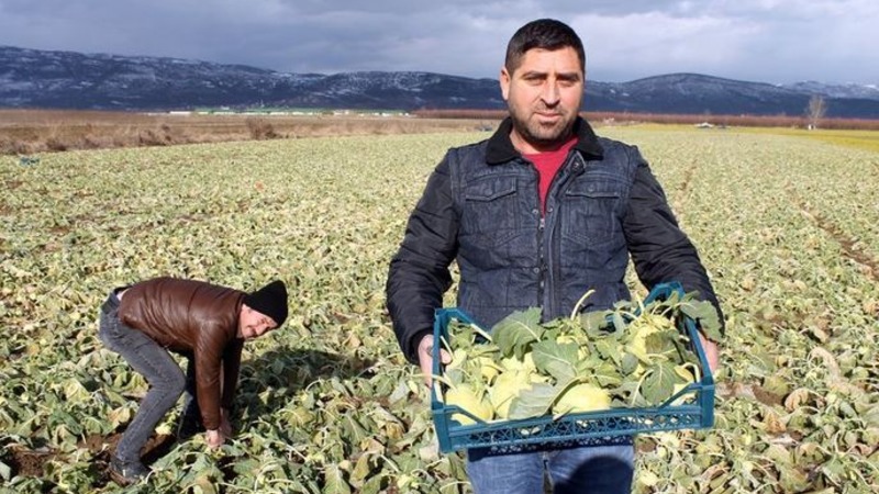 Побег из мегаполисов Турции: Хипстеры из Стамбула переезжают в сельскую местность