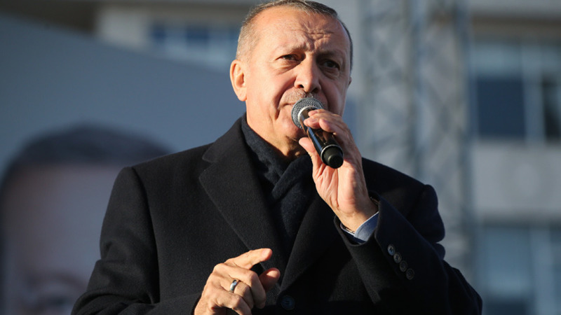 В Турции мужчину приговорили к рекордному сроку тюрьмы за оскорбление Эрдогана