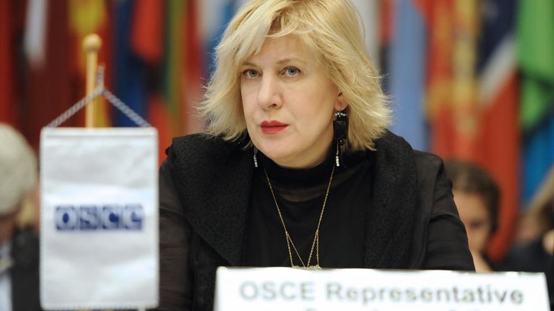 Комиссар СЕ по правам человека заявила об угрозе верховенству закона в Турции