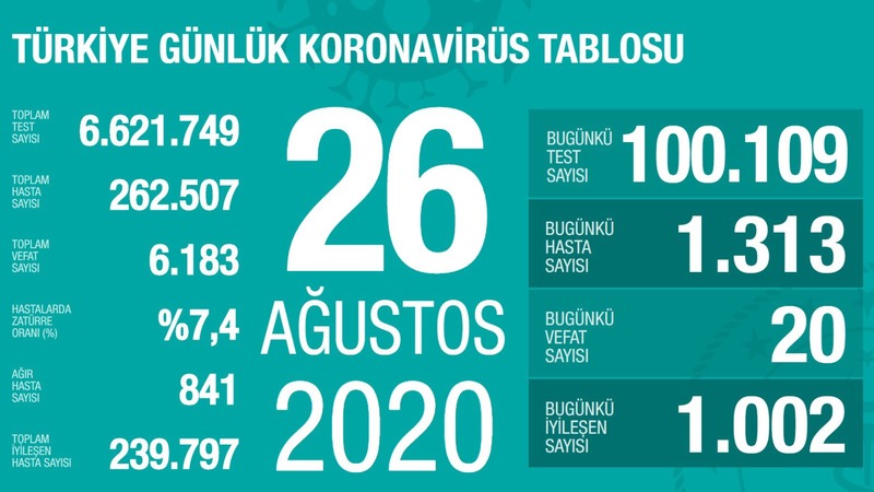 Число новых инфицированных COVID-19 в Турции достигло 1 тыс. 313