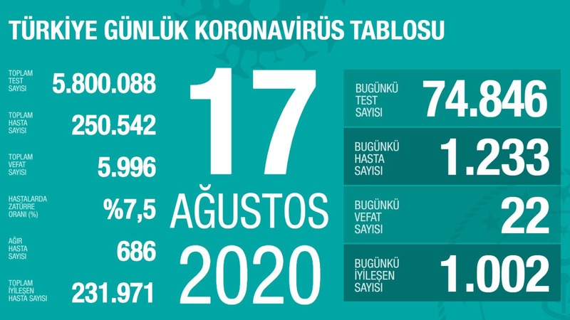 Количество инфицированных в Турции составило более 250 тыс.