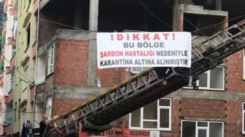 На севере Турции введён карантин из-за опасений по поводу вспышки сибирской язвы