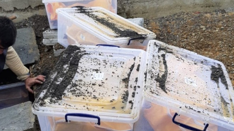 СМИ: На стамбульском кладбище в пластиковых ящиках хранятся останки 261 тела