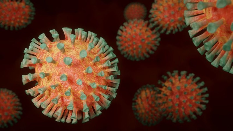 «Эпидемия коронавируса может затянуться дольше, чем на один-два месяца»