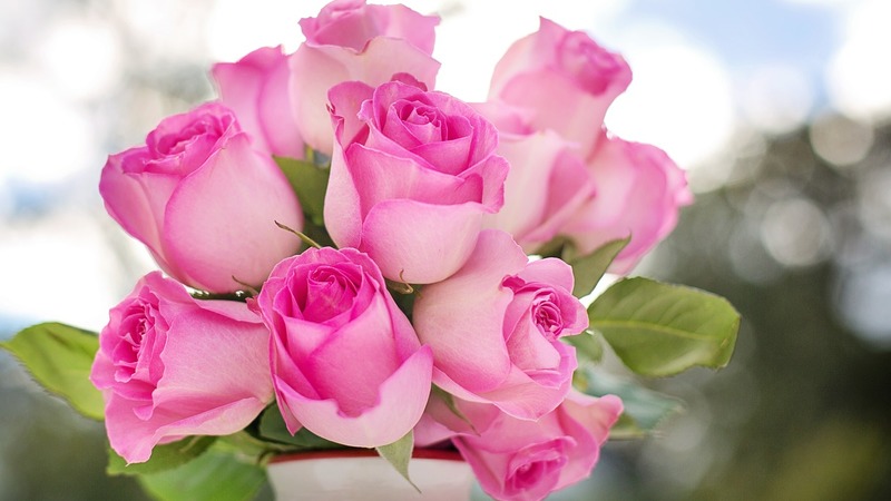 Ежегодно в Турции на день святого Валентина продают цветы на сумму в 475 млн долларов