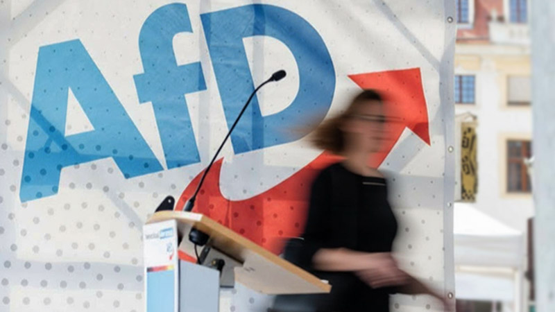 Ультраправая партия Германии (AfD) готовит экспансию в Турцию: что это значит?