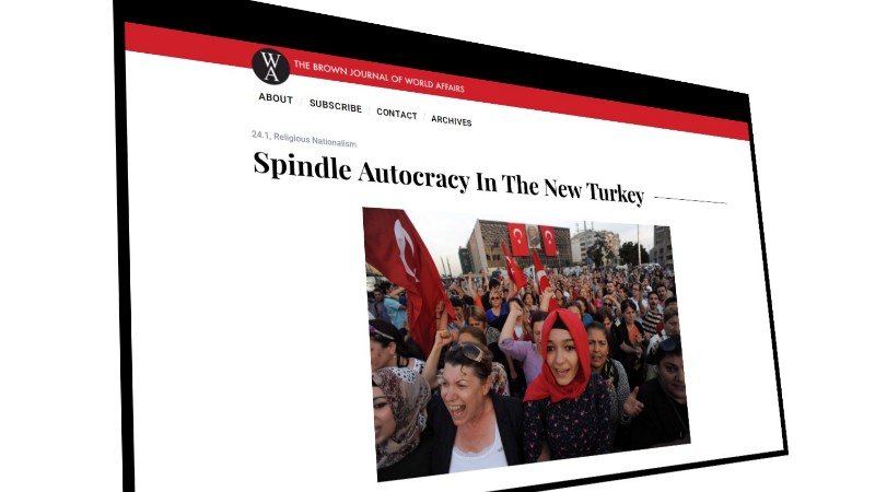 «Турецкая политическая структура поляризует общество»
