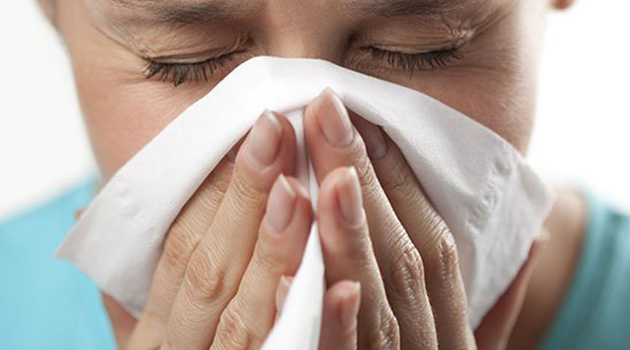 Число жертв свиного гриппа в Турции достигло 57
