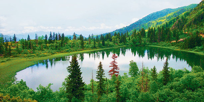 Парламент Турции рассматривает разрешение на туристическую аренду в нацпарках  сроком до 99 лет