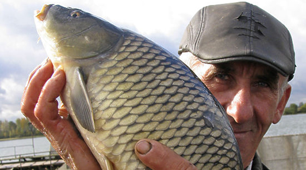 Прибрежное рыболовстве в Босфоре стало предметом споров