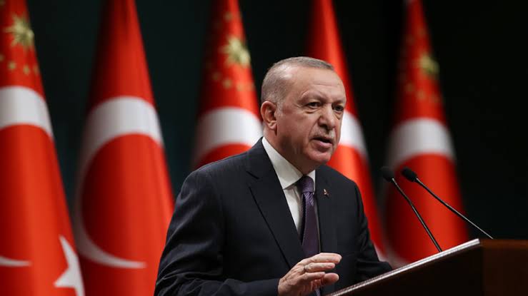 Эрдоган выступил против ксенофобии на фоне антимигрантских протестов