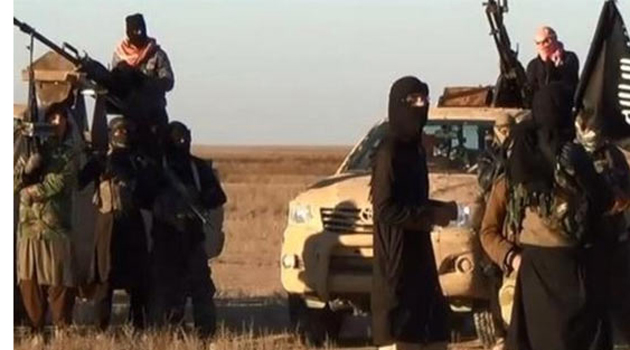Боевики ИГИЛ отпустили турецких водителей