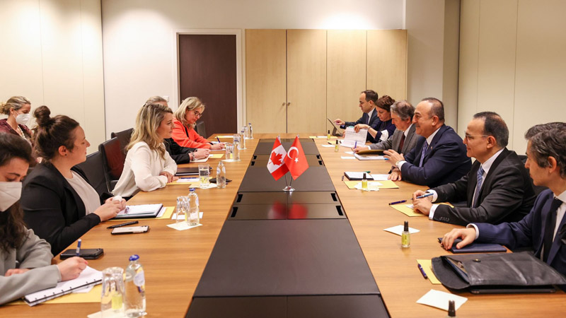 Главы МИД Канады и Турции обсудили ситуацию на Украине