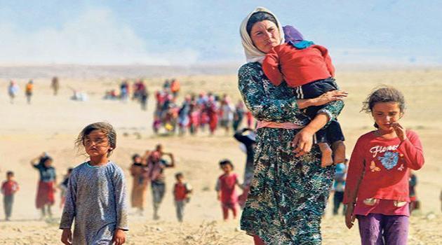 В Турции родилось 200 тысяч сирийских детей