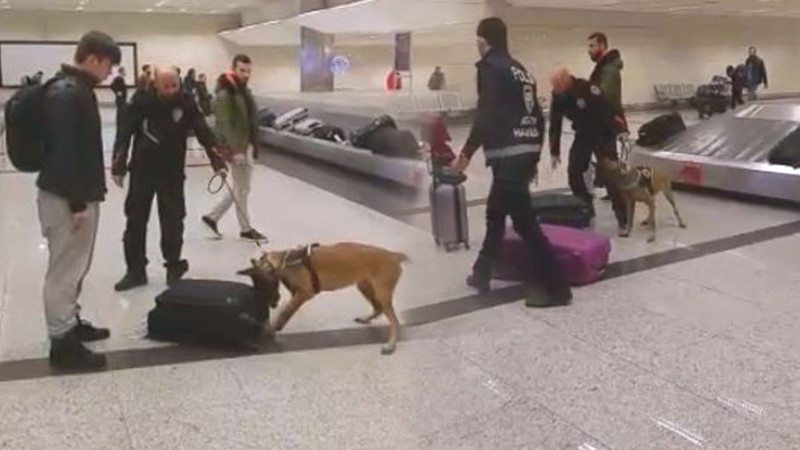 Турецкая полиция использовала собак для обыска голландских пассажиров в аэропорту Стамбула