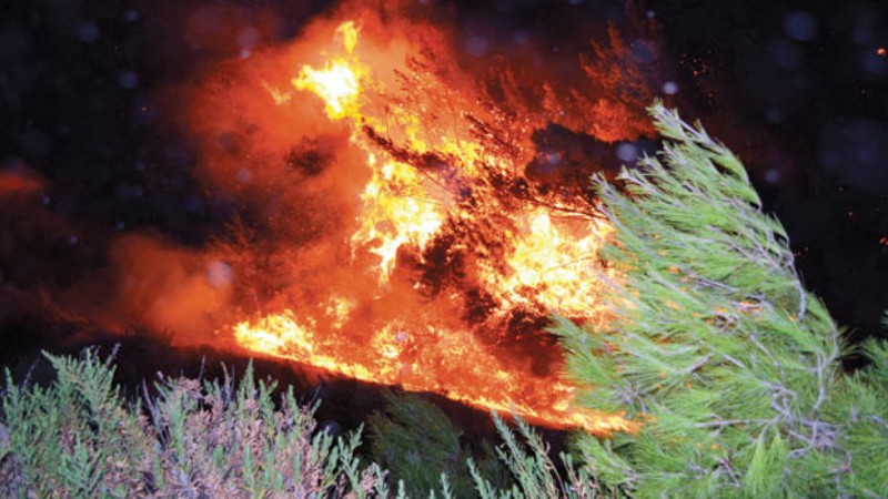 Анкара предложила Греции помощь в борьбе с лесными пожарами