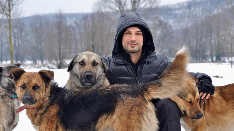Турецкий певец Таркан призвал проявить заботу о бездомных животных