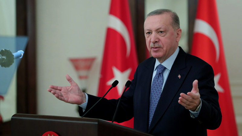 Эрдоган: Турция стремится добиться установления мира между РФ и Украиной