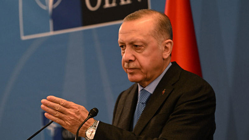 Эрдоган:  НАТО не является структурой, которая будет представлять угрозу для России