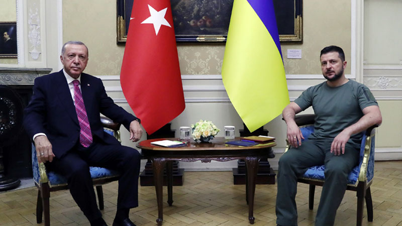 Эрдоган и Зеленский обсуждают перспективы урегулирования украинского кризиса