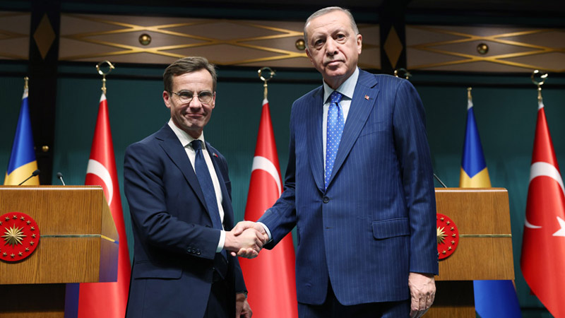 В Швеции хотят укрепить дружбу с Турцией, создав особую парламентскую группу