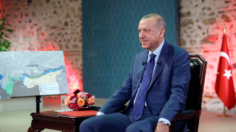 «Экономический кризис, политические вызовы — основные факторы наступления Эрдогана в Сирии»