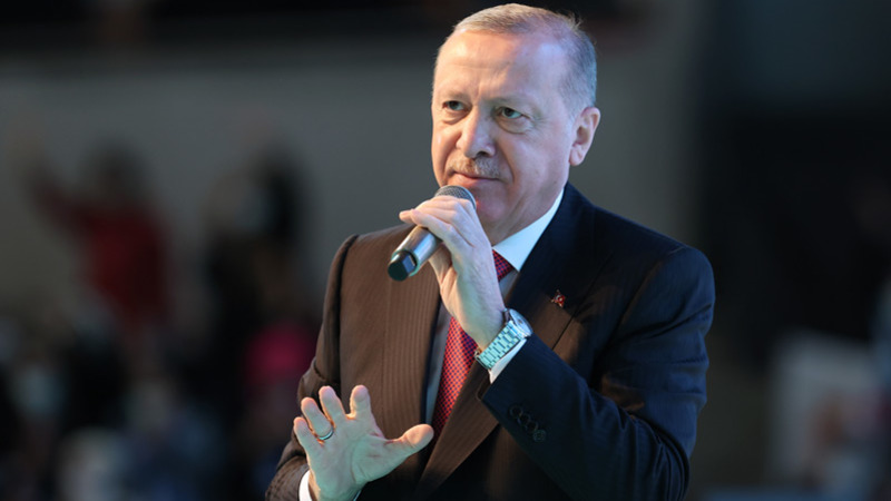 Эрдоган: У Турции нет скрытых мотивов в Восточном Средиземноморье