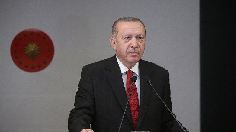 Эрдоган объявил о плане действий в области прав человека