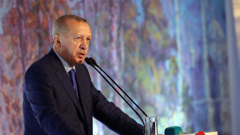 «Эрдоган использует всё, чтобы остаться на плаву»