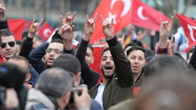 Власти Франции намерены запретить турецкую группу националистов «Серые волки»