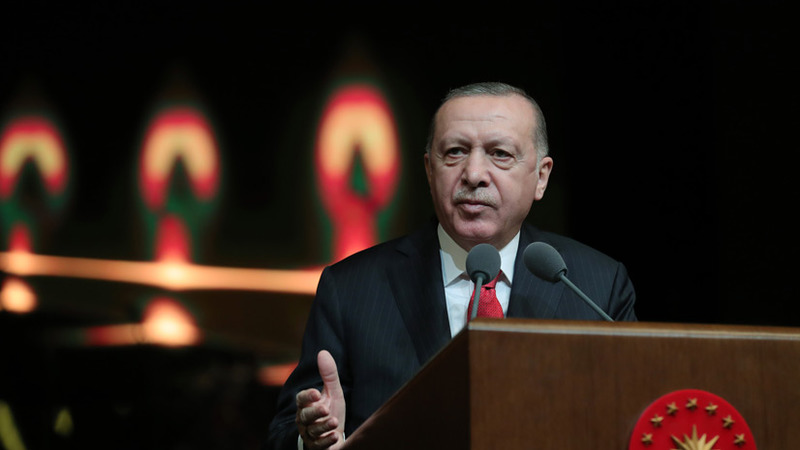 Эрдоган: Турция не планирует выводить свои силы из безопасных зон за пределами границ