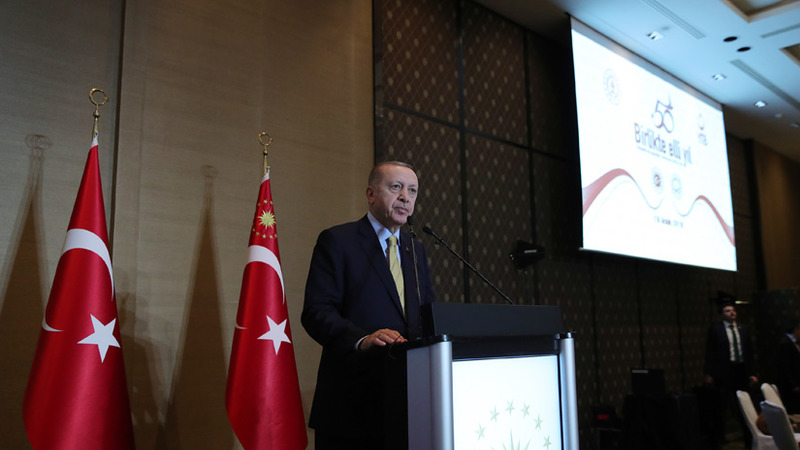 Турецкий президент обеспокоен сообщениями о наёмниках, сражающихся на стороне ЛНА