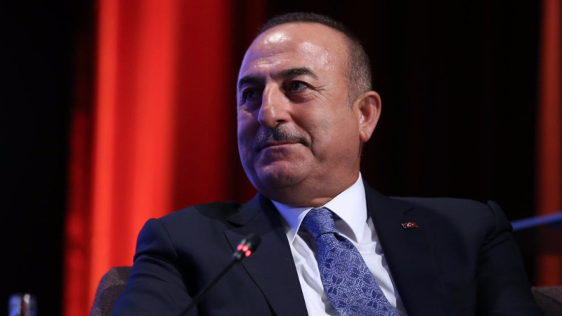Глава МИД Турции раскритиковал коллег по НАТО за политику двойных стандартов