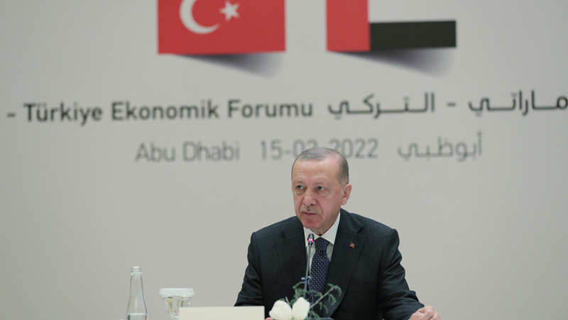 Эрдоган призвал бизнесменов ОАЭ инвестировать в Турцию