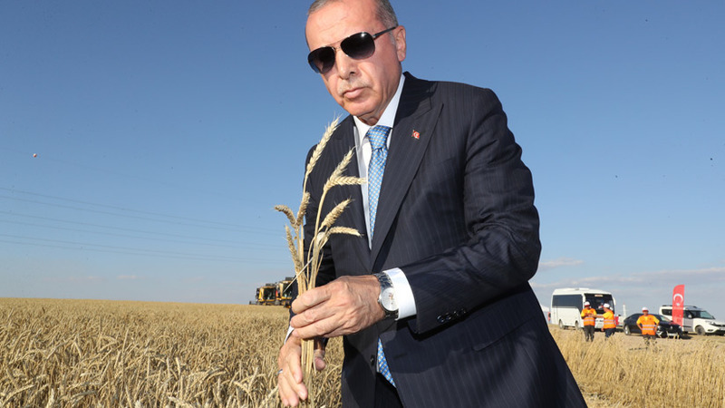 Arab Weekly: Череда просчётов Эрдогана дорого обошлась Турции