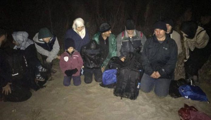 Несколько турецких семей запросили убежище в Греции