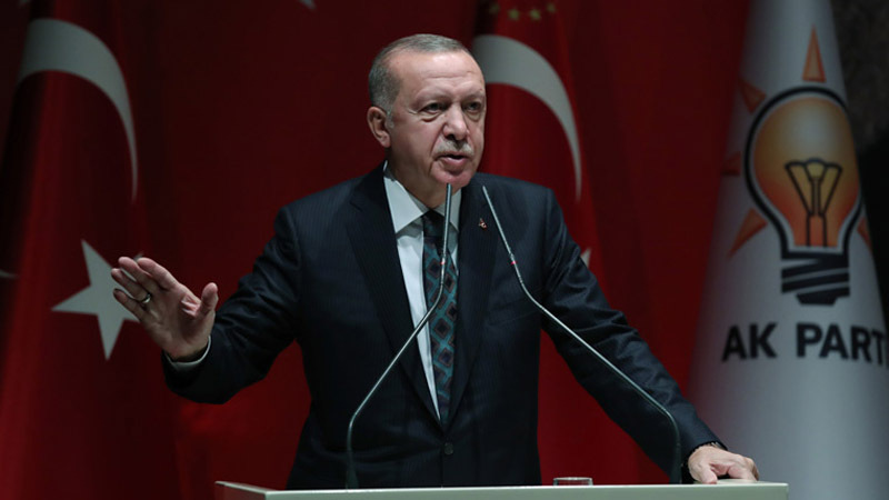 50,8% граждан Турции одобряют деятельность Эрдогана