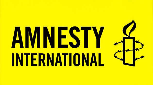 Amnesty International выразила озабоченность по поводу свободы слова в Турции
