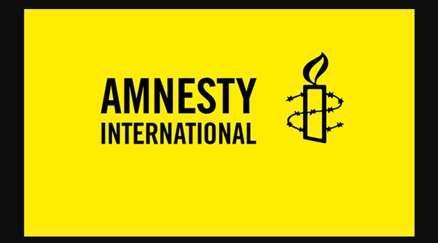 Amnesty International опровергла обвинения Эрдогана в планировании переворота