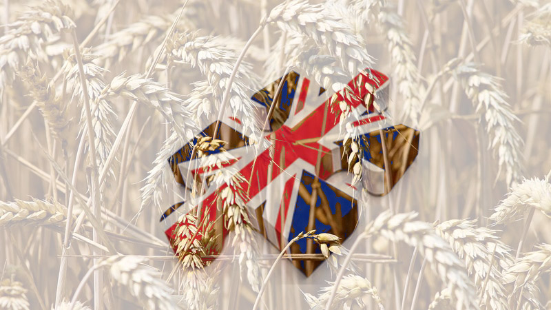 Британия и Турция совместно работают над вывозом зерна с Украины