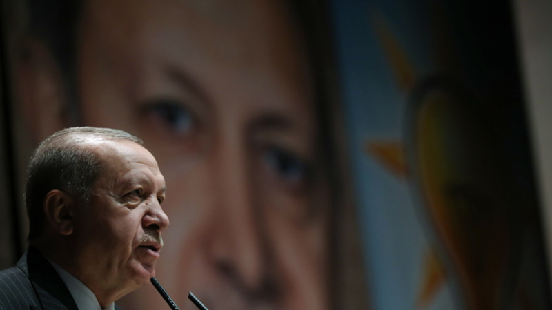 DW: С 2014 года рекордно увеличилось количество случаев оскорбления Эрдогана