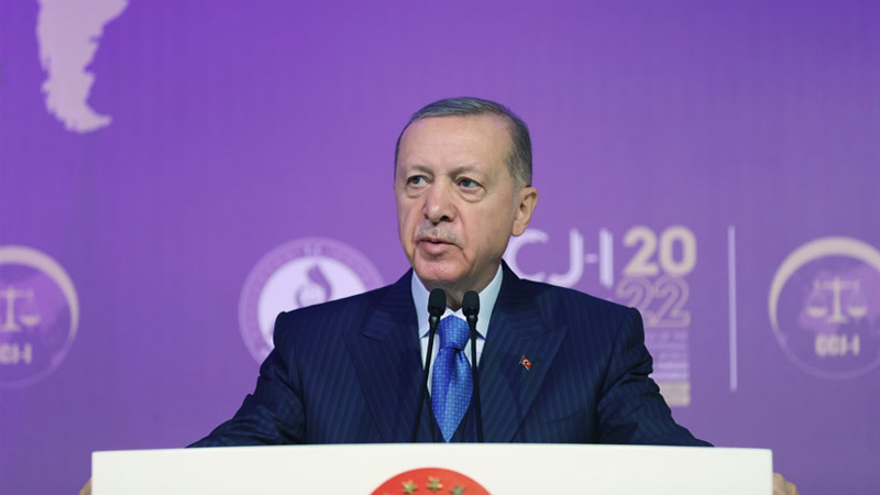 Эрдоган: Турция продолжает контакты с РФ и Украиной на самом высоком уровне