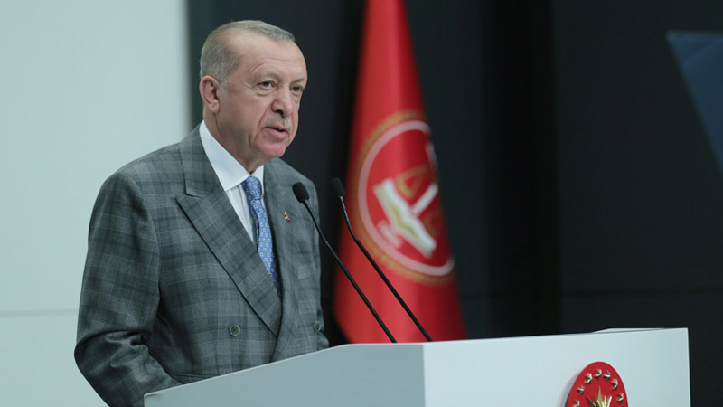 Эрдоган сообщил Путину о необходимости обеспечить безопасность на севере Сирии